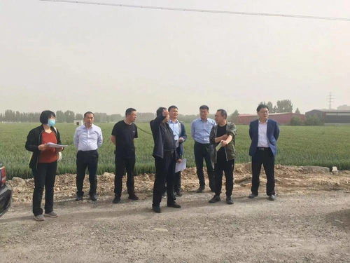 市局督导组赴汶上县指导设施农业用地上图入库工作 科技助力农业现代化